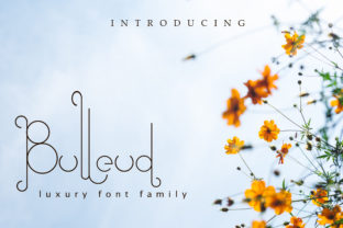 Bulleud Font: Elevating Small Business Branding