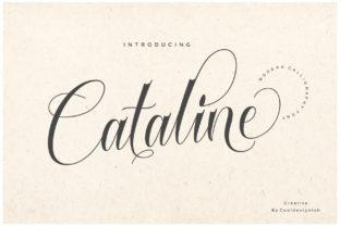 Cataline Script: A Versatile Choice for Creative Projects