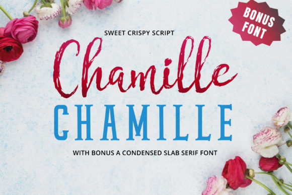 Chamille Script: A Versatile Font for Engaging Campaigns