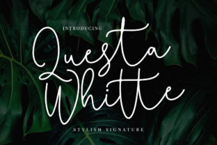 Discover Questa Whitte Script: A Perfect Font for Creative Branding