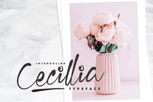 Discovering Cecilia Script: A Handwritten Font for Elegant Publishing