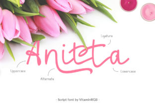 Enhance Your Brand with Anitta Script Font