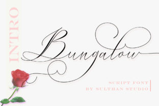 Enhance Your Web Design with Bungalow Script