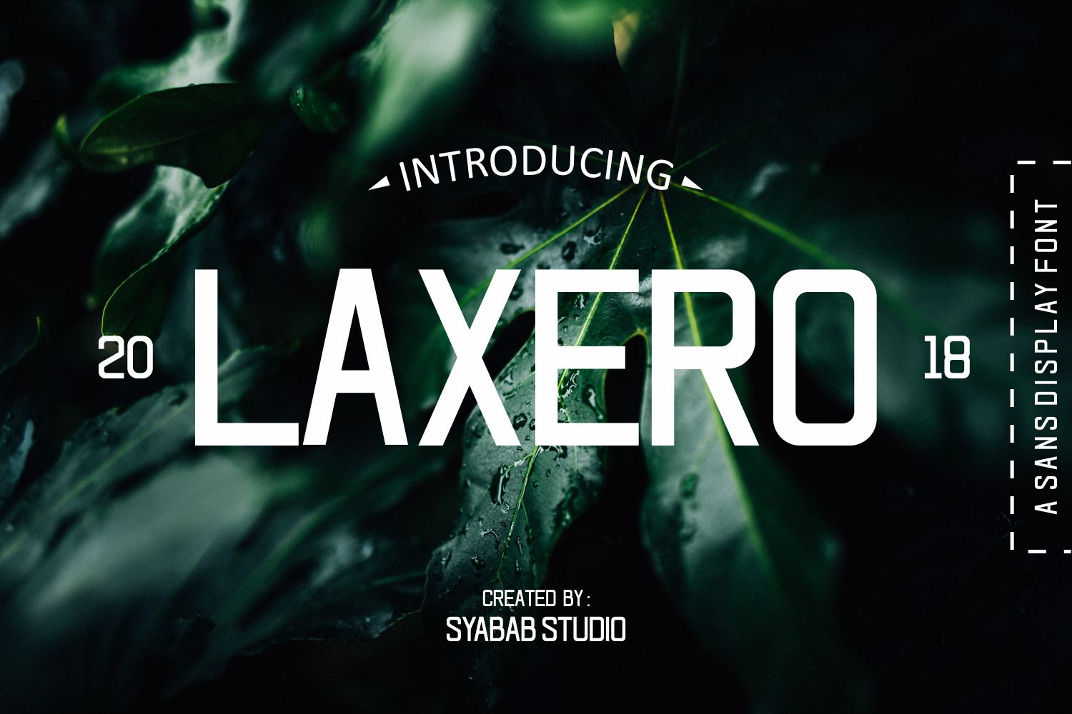 Laxero Font: A Bold Script Typeface for Web Design