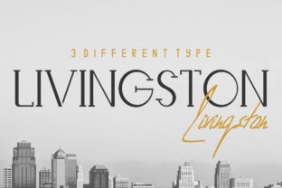 Livingston Font: A Complete Trio for Business Branding