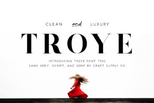 Troye Trio Font: Elevating Small Business Branding